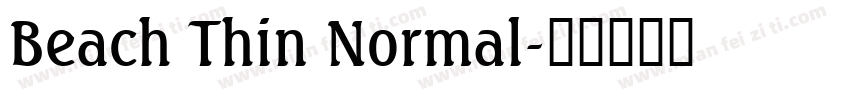 Beach Thin Normal字体转换